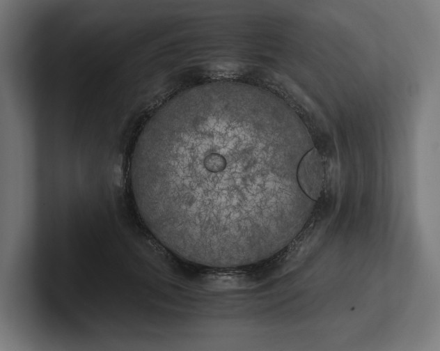 X0000102300655200808011403