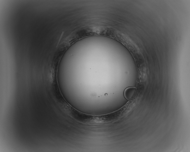 X0000102300656200808011403