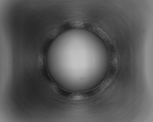 X0000102300658200808011404