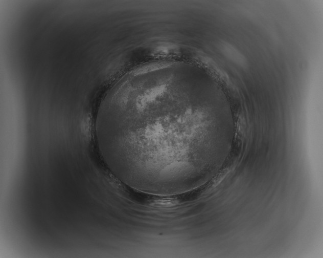 X0000102300659200808011404