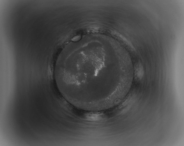 X0000102300661200808011404