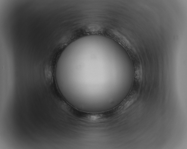 X0000102300662200808011404