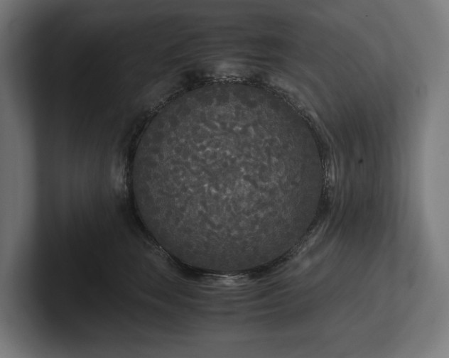 X0000102300663200808011404