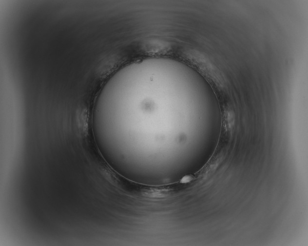 X0000102300664200808011404