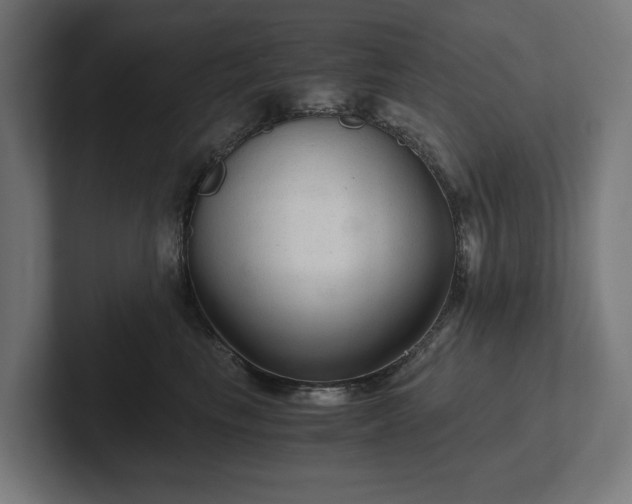 X0000102300665200808011404