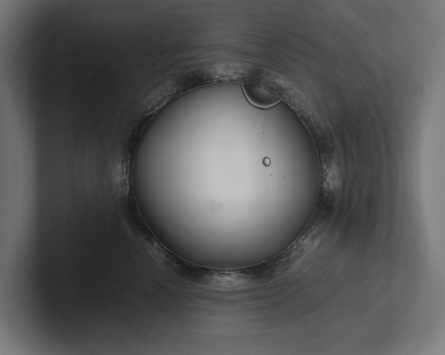 X0000102300666200808011404