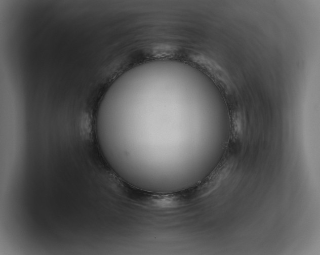 X0000102300667200808011404