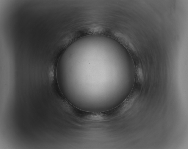 X0000102300668200808011404