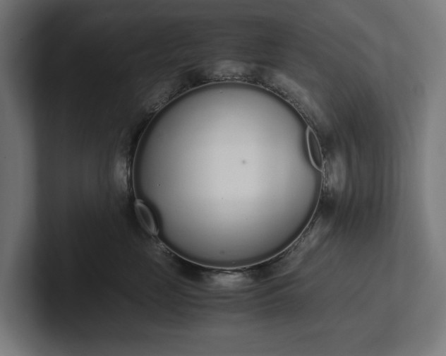 X0000102300669200808011404