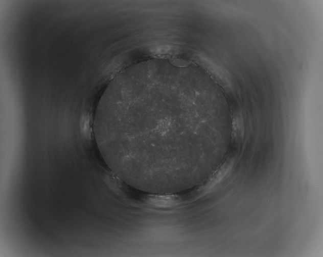 X0000102300671200808011404