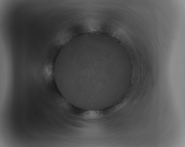 X0000102300672200808011404