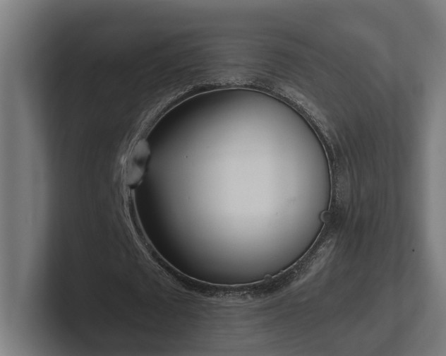 X0000102300673200808011403