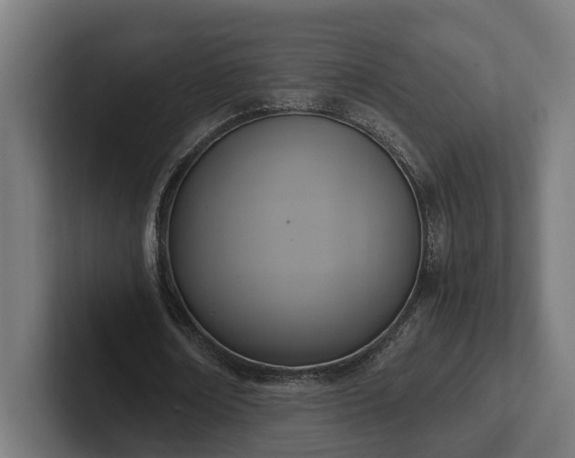 X0000102300674200808011403