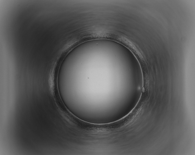 X0000102300677200808011403