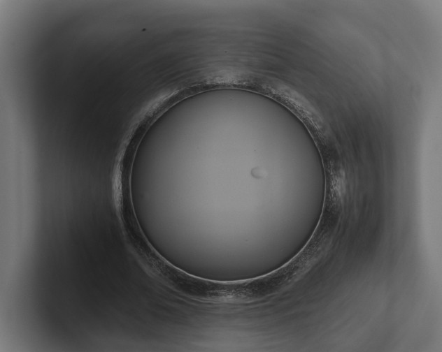 X0000102300678200808011403