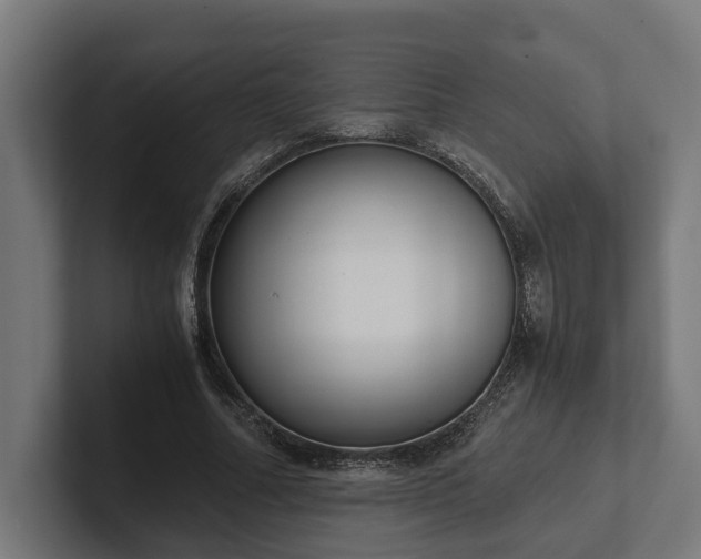 X0000102300682200808011403