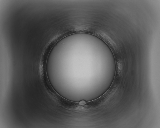 X0000102300684200808011403