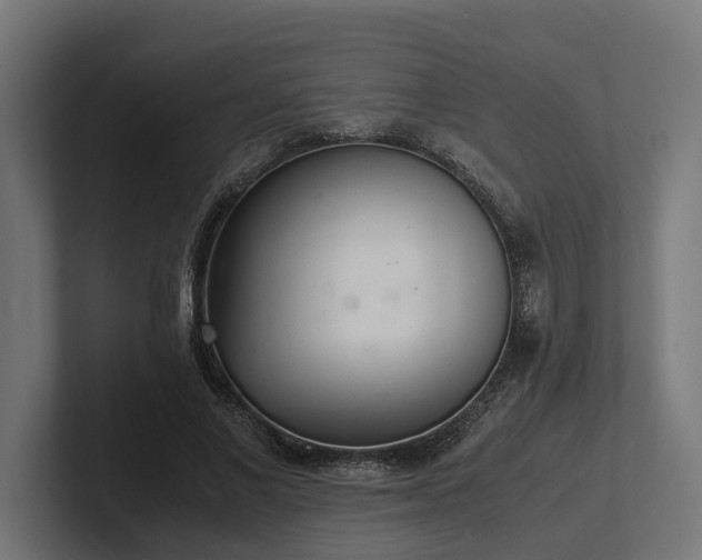 X0000102300685200808011403