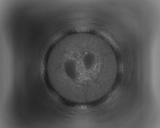 X0000102300687200808011403