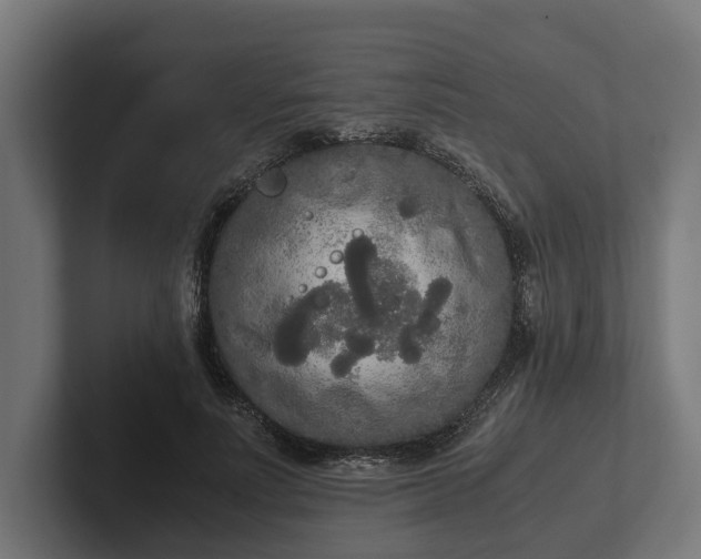 X0000102300691200808011403