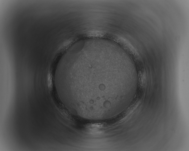 X0000102300692200808011403