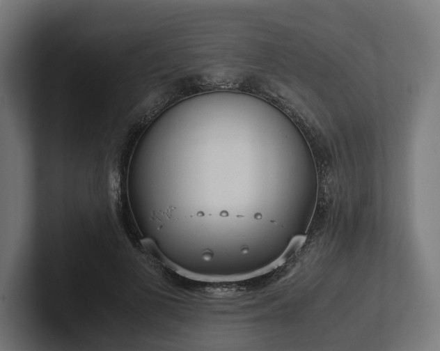 X0000102300693200808011403