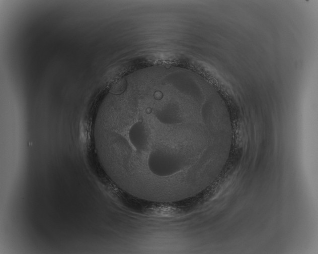 X0000102300695200808011403