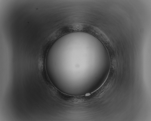 X0000102300697200808011403