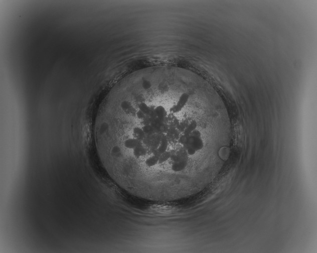 X0000102300699200808011403