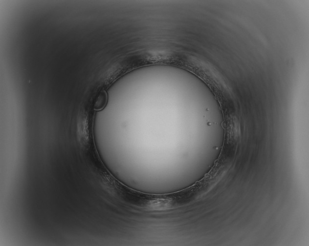 X0000102300700200808011403