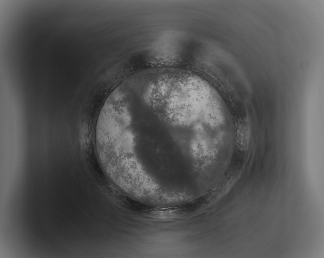 X0000102300701200808011403