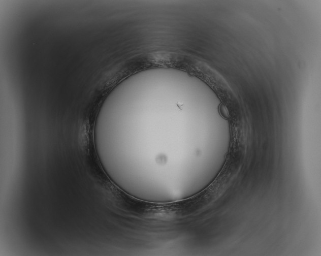 X0000102300702200808011403