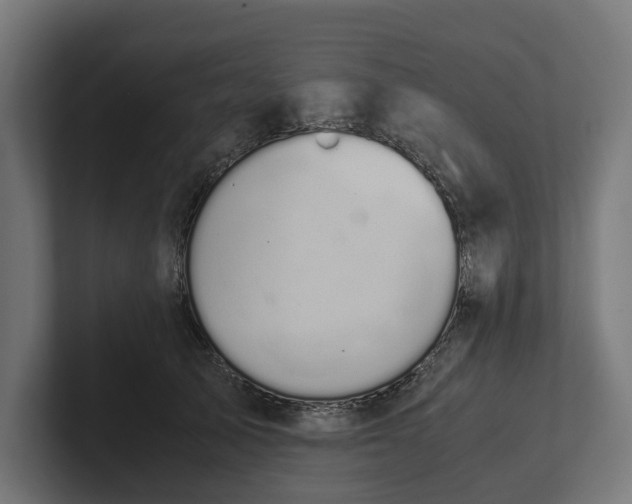 X0000102300705200808011403