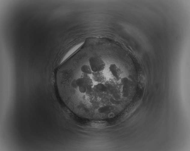 X0000102300707200808011403