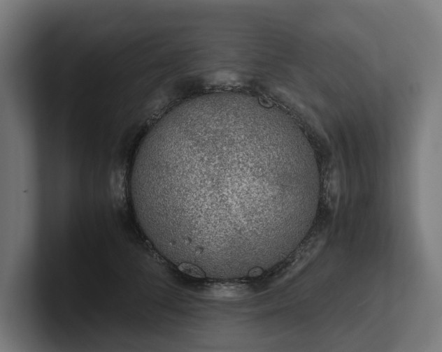 X0000102300708200808011403