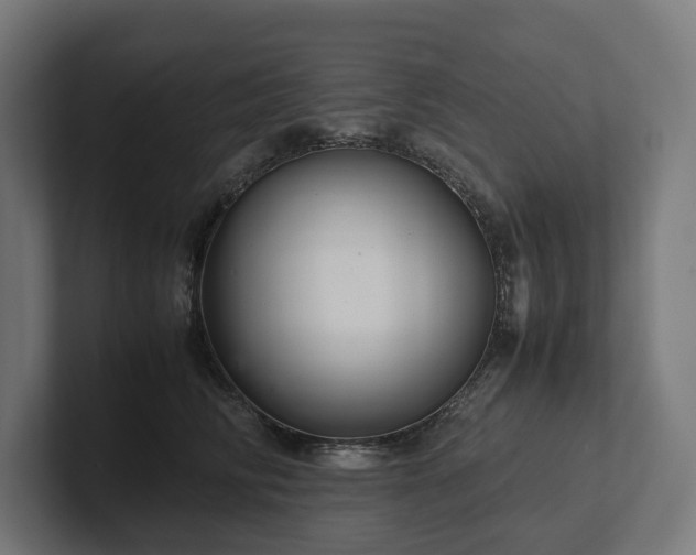 X0000102300710200808011402