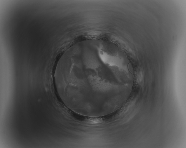 X0000102300711200808011402