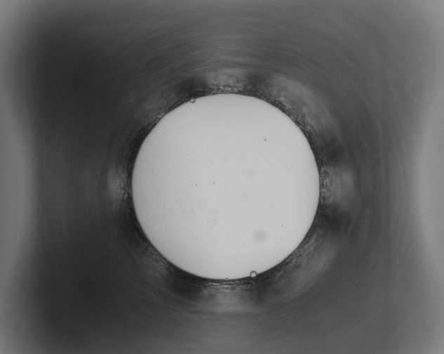 X0000102300713200808011402