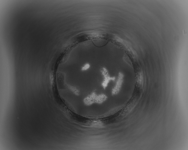 X0000102300715200808011402