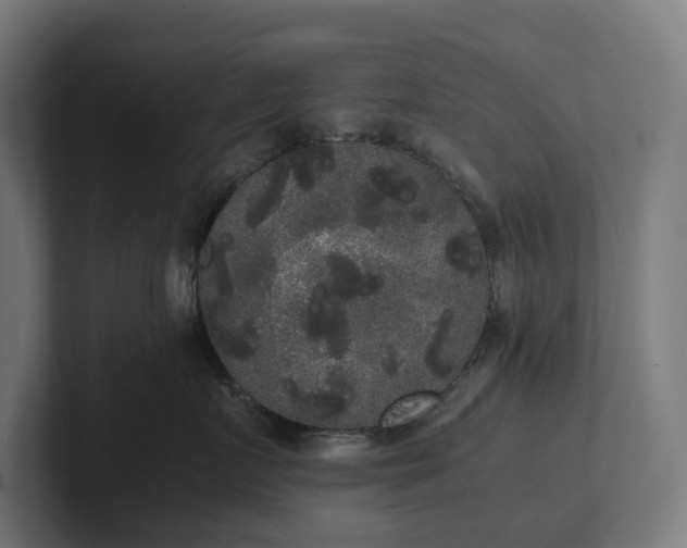 X0000102300719200808011402