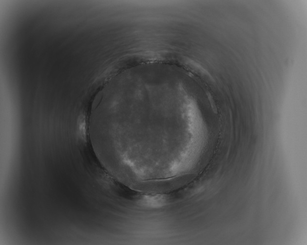 X0000102300720200808011402