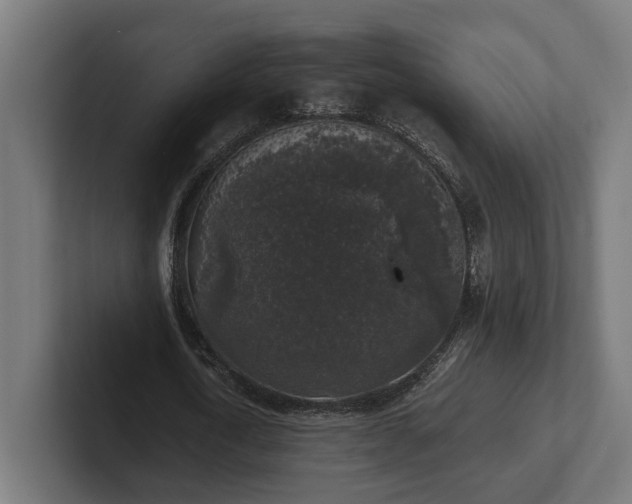 X0000102300722200808011402