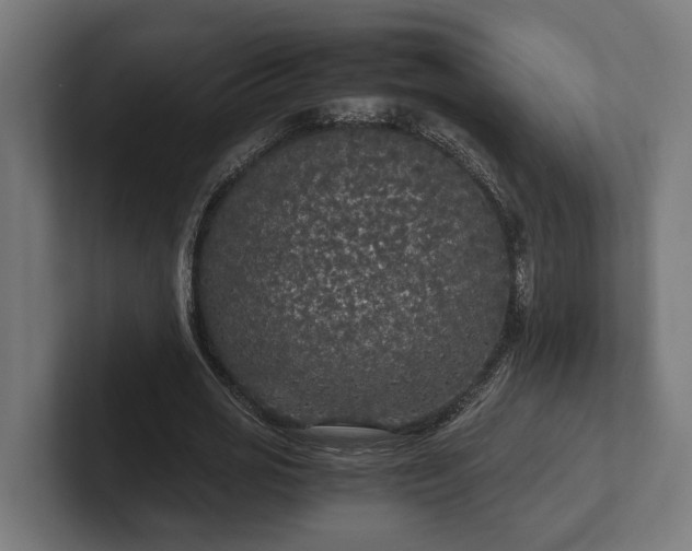 X0000102300725200808011402