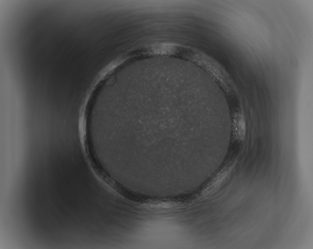 X0000102300726200808011402