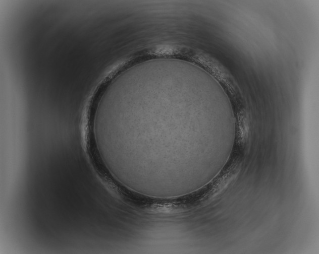 X0000102300728200808011402