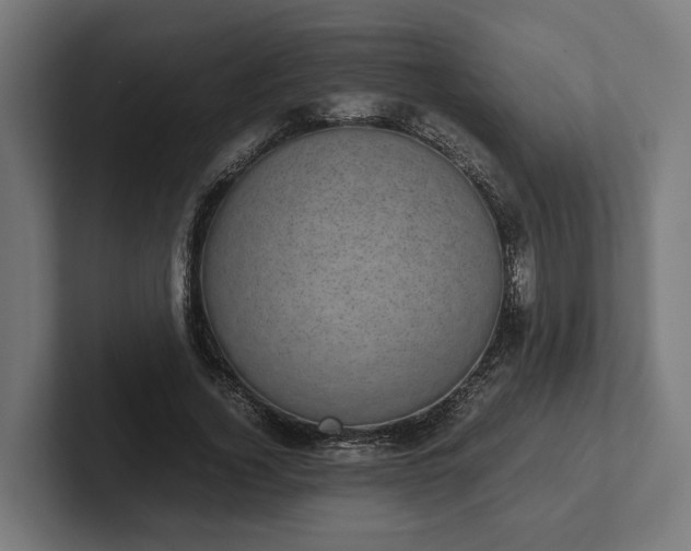 X0000102300732200808011402