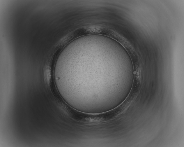 X0000102300733200808011402