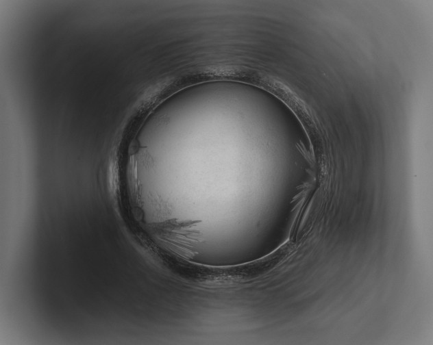 X0000102300734200808011402