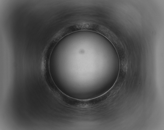 X0000102300735200808011402