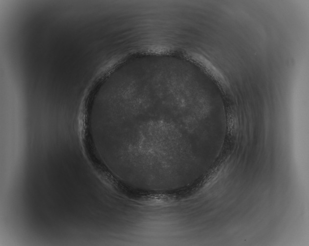 X0000102300736200808011402